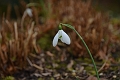 20 02 12_6136_edited-1